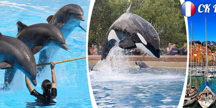 Zájezd za kosatkami do francouzského parku Marineland
