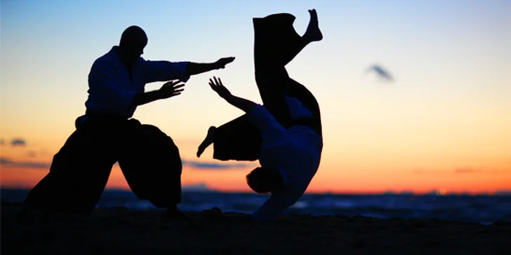 Aikido pro každého - 5 vstupů