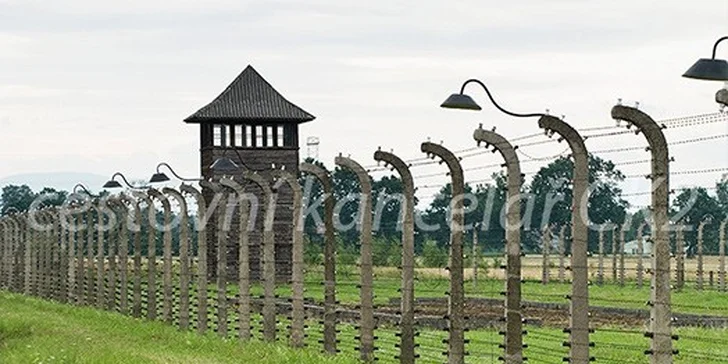 Po stopách temné minulosti - Osvětim a Březinka