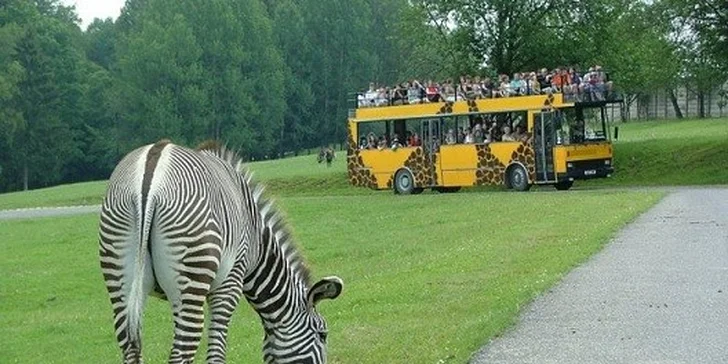 6denní dovolená pro dva v Hotelu Večernice*** v Janských Lázních. Včetně snídaní, čtyřchodové večeře, sauny i lahve vína. Varianta také na 4 dny.