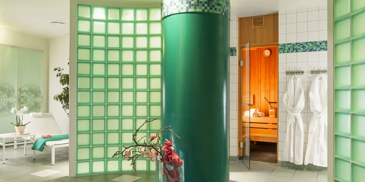 V 9. poschodí hotelu se nachází velké wellness a fitness centrum, kam máte neomezený vstup.