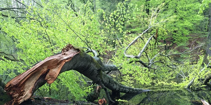Výlet na Vinnetouova Plitvická jezera pro 1 osobu