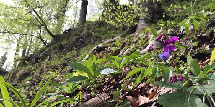 Výlet na Vinnetouova Plitvická jezera pro 1 osobu