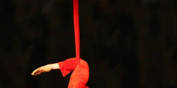 Pouze 199 Kč za workshop populárního Pole Dance neboli tance u tyče v novém tanečním studiu Firefly! Zpevněte své tělo od hlavy až k patě a skvěle se přitom pobavte se slevou 50 %!