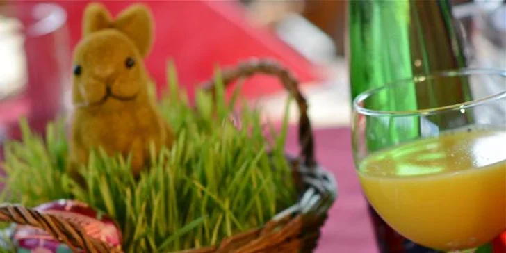 Brunch na lodi a prohlídka Malé Strany (90+90 min)
