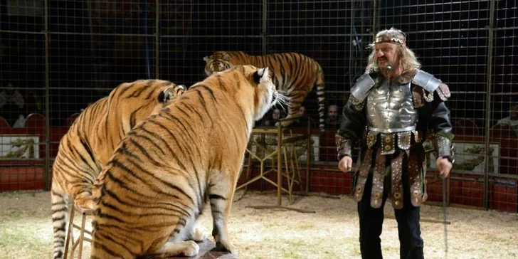 Vstupenky na show Madagaskar v cirkusu Jo-Joo