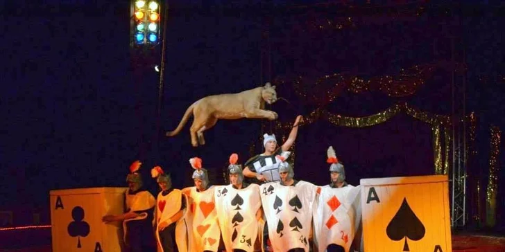 Vstupenky na show Madagaskar v cirkusu Jo-Joo