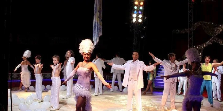 Vstupenky na show Madagaskar v cirkusu Jo-Joo