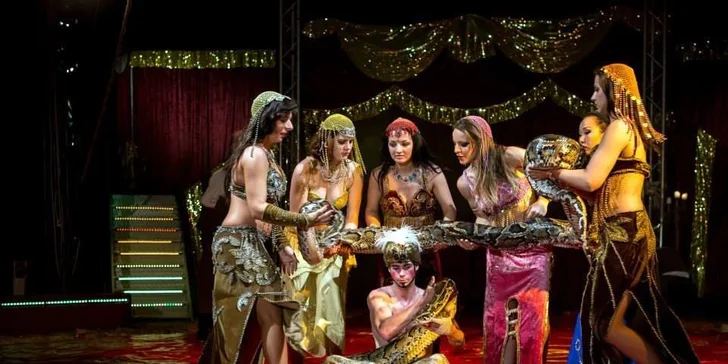 Vstupenky na show Madagaskar v cirkusu Jo-Joo