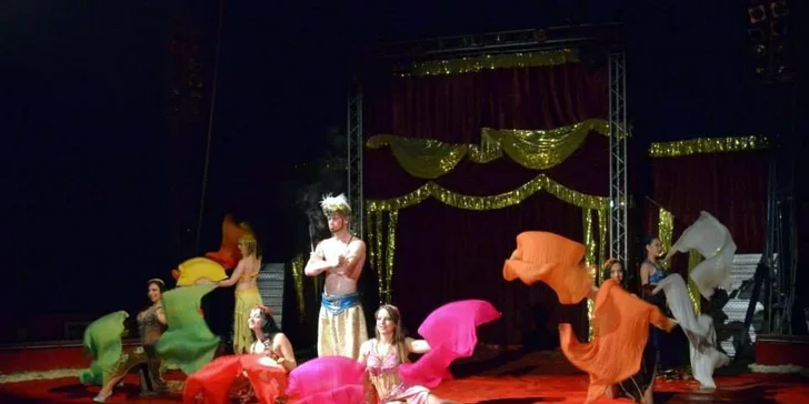 Vstupenky na show Madagaskar v cirkusu Jo-Joo