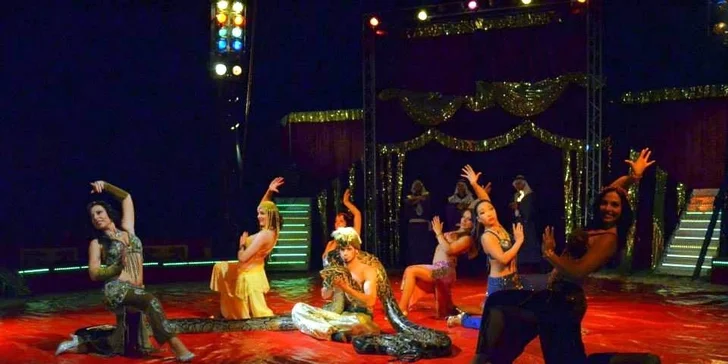Vstupenky na show Madagaskar v cirkusu Jo-Joo