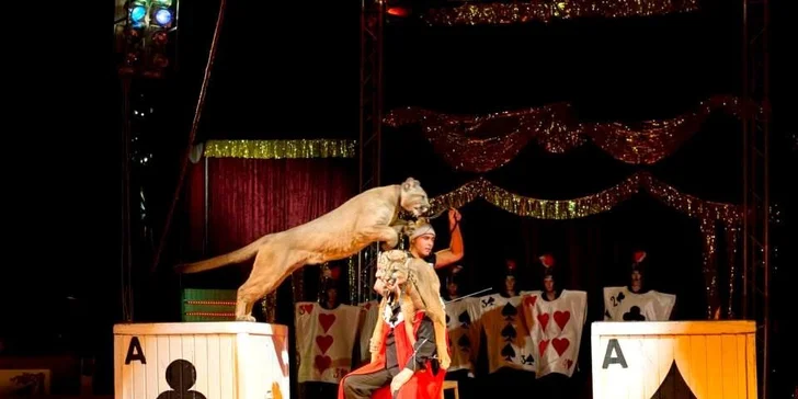 Vstupenky na show Madagaskar v cirkusu Jo-Joo