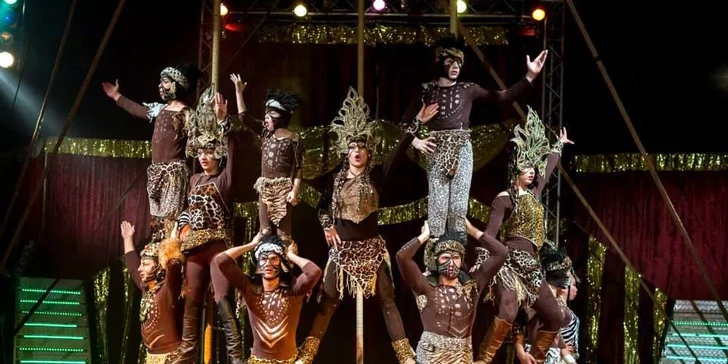 Vstupenky na show Madagaskar v cirkusu Jo-Joo