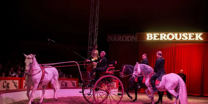 Vstupenky do Národního Cirkusu Originál Berousek v Olomouci