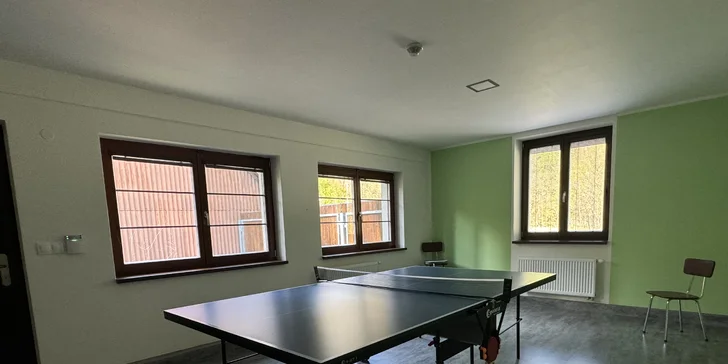 Co takhle si zahrát stolní tenis?