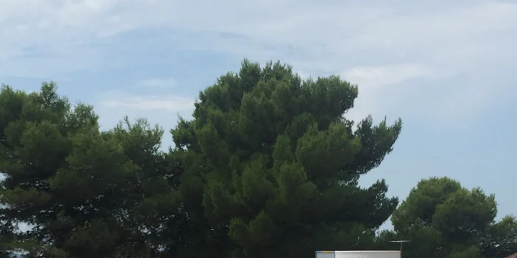 Zacvičte si třeba aqua aerobic.
