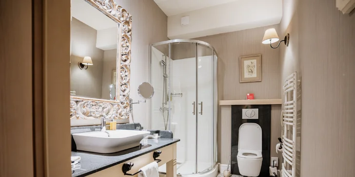 Samozřejmostí každého pokoje je koupelna se sprchovým koutem (apartmán disponuje i vanou).