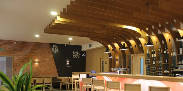 Dva steaky ze pštrosího masa v Restauraci Vrtule