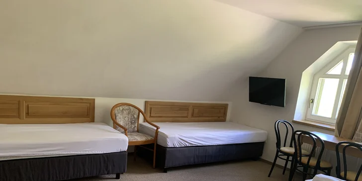 Za příplatek můžete přijet s domácími mazlíčky. 