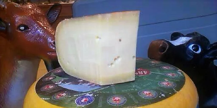 Kravská gouda pro vás zrála 4 až 6 měsíců.