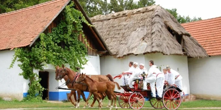 Na jižní Moravu za vínem, na zabijačku či tancovačku