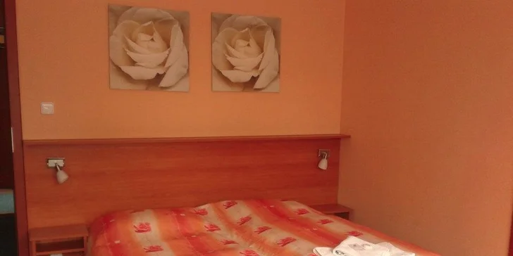 Na jižní Moravu za vínem, na zabijačku či tancovačku