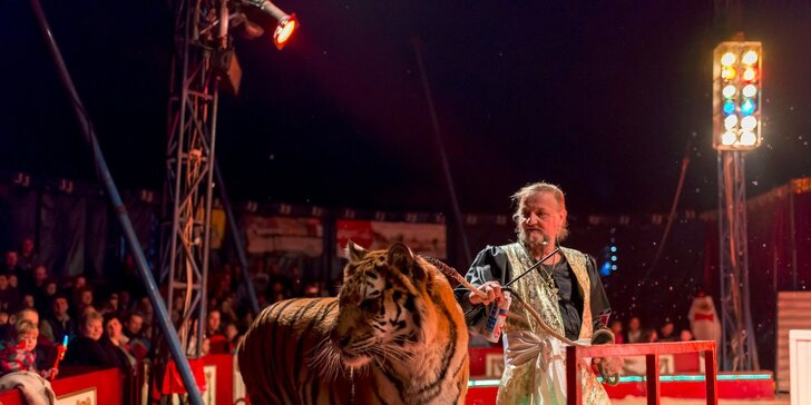 Vstupenky na show Madagaskar v cirkusu Jo-Joo