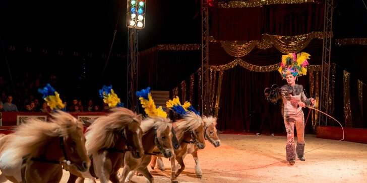 Vstupenky na show Madagaskar v cirkusu Jo-Joo