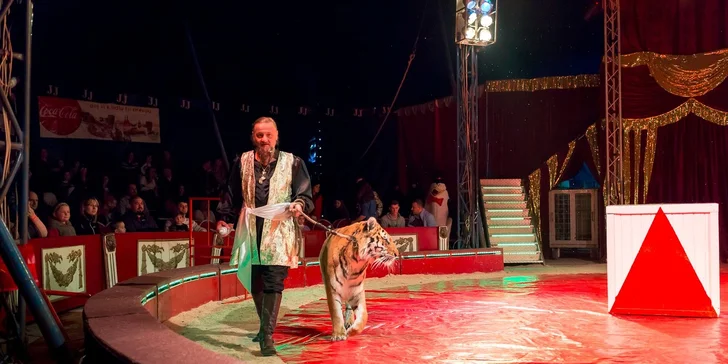 Vstupenky na show Madagaskar v cirkusu Jo-Joo