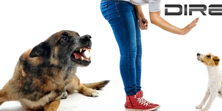 Řešení problémového chování vašeho psa - individuální lekce