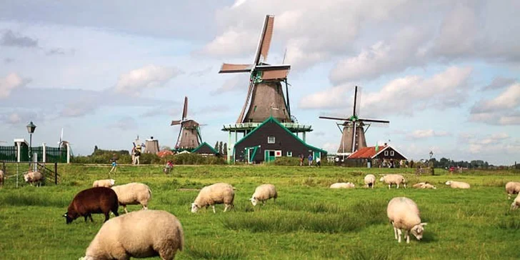 4denní Holandsko – delfinárium, mlýny i Amsterdam