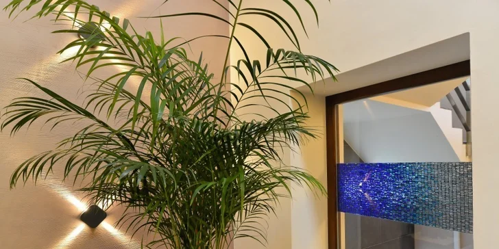 Relax na Vysočině – úžasné wellness a dobré jídlo
