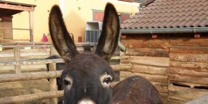 Velikonoční prodloužený víkend na statku s programem a se zvířátky