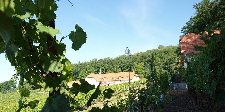 Třídenní romantika na Moravě ve vinařském centru
