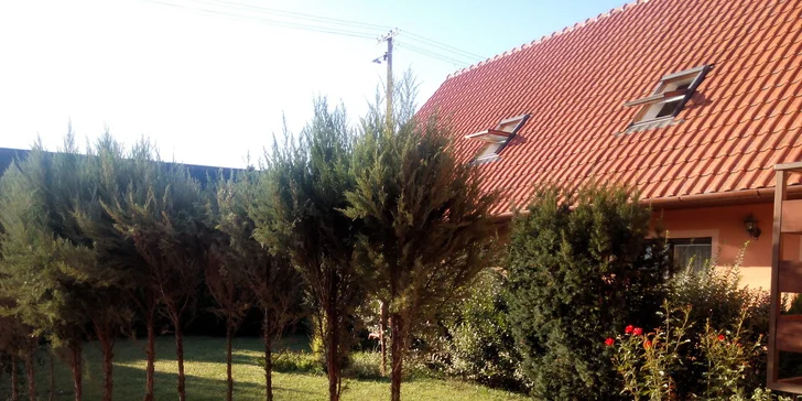 Jarní pobyt s vínem a prohlídkou Zámku Lednice