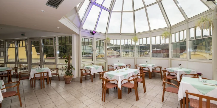 Původní hotel Flora byl otevřen v roce 1881 a patřil rodině uměleckého zahradníka Václava Skalníka (proto název Flora – květina).