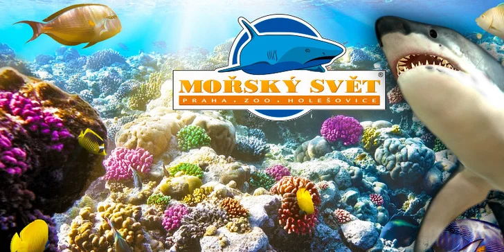 Nezapomenutelná návštěva Mořského světa