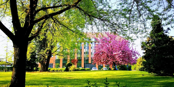 Hotel obklopují středověké uličky a patří k němu zelený park. 