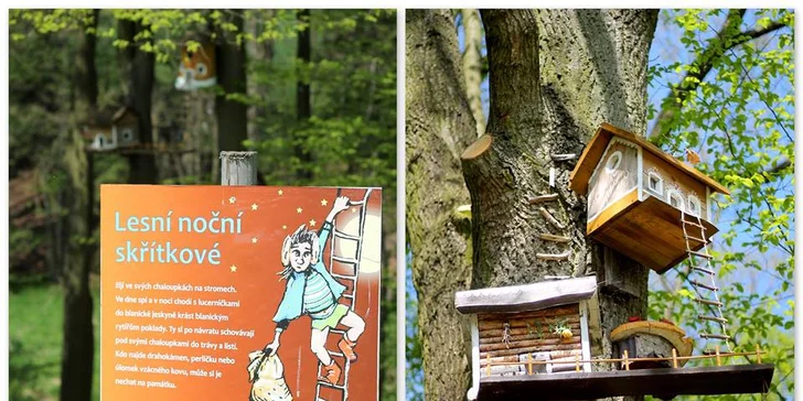 Pozor, v lese žijí lesní skřítkové...