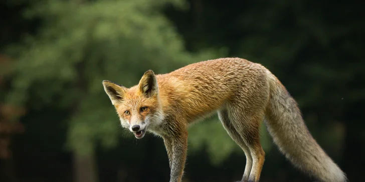 Nachází se jen 10 km od Čáslavi na soutoku řeky Doubravy a Hostačovky. 