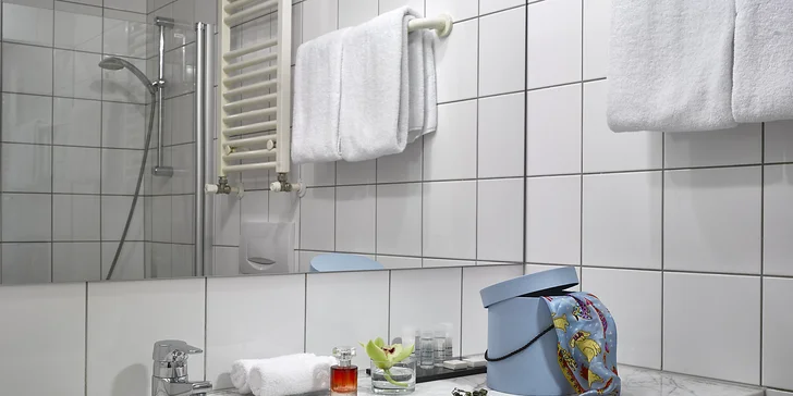 Samozřejmostí je moderně vybavená samostatná koupelna a toaleta. 