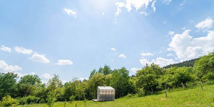 lesni sauna