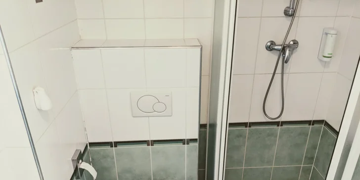 V koupelně je sprcha, fén, ručníky i hygienické potřeby. 