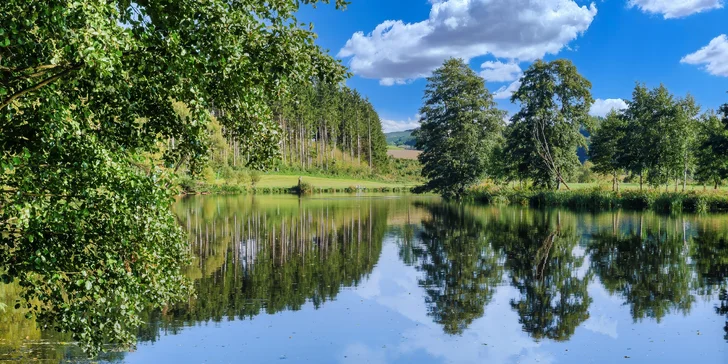 Právě tady, v srdci Bavorského lesa, vás přivítá Hotel am Pfahl.