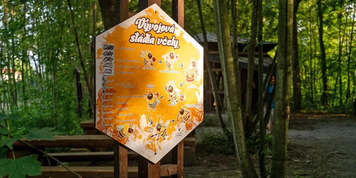 Na rodinné farmě a včelařství Medový dvůr se dozvíte nejen zajímavosti o životě včel.