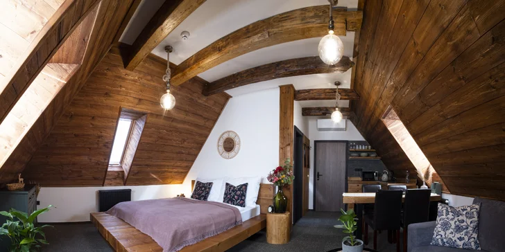 Apartmán s výhľadom na hory a kuchynkou má manželskú posteľ a rozťahovací gauč.