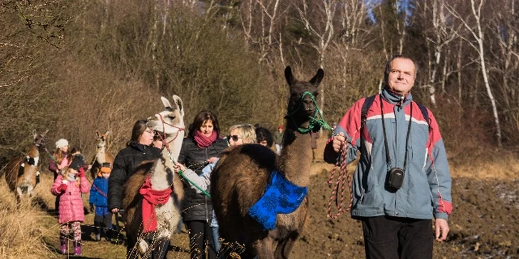 Trek může přizpůsobit svou délku a obtížnost všem věkovým kategoriím a přiobjednat si můžete dokonce i druhou lamu. Stačí si obout pevné boty a vyrazit! 