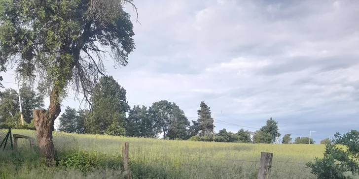 U stanu je posezení i ohniště. 