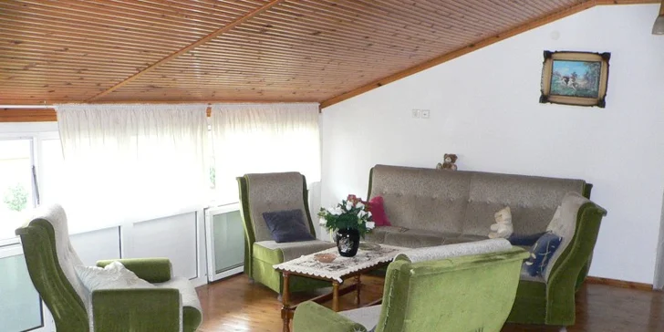 studia Anděla