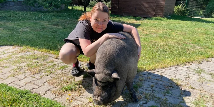  Veškeré vstupné na farmu jde výhradně na provoz azylu, krmení a veterinární péči.